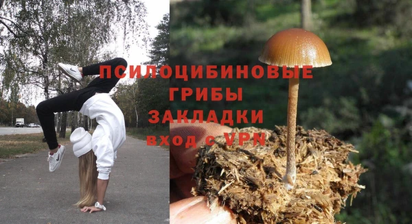 индика Абдулино
