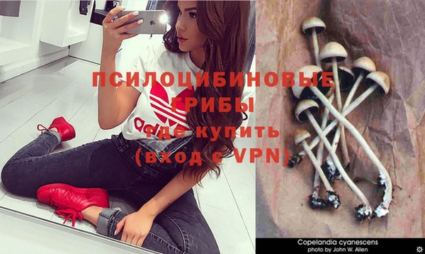 молекула духа Абаза