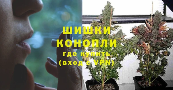 PSILOCYBIN Абинск