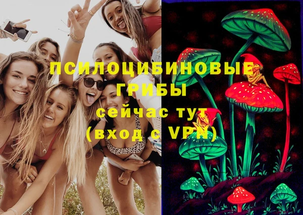 PSILOCYBIN Абинск