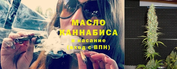 индика Абдулино